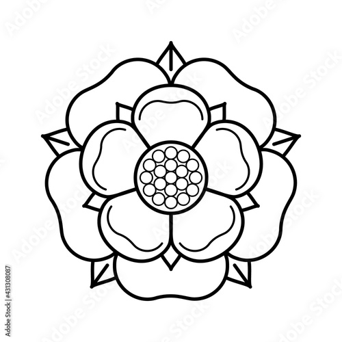 Tudoe rose of Englnd vector illustration.