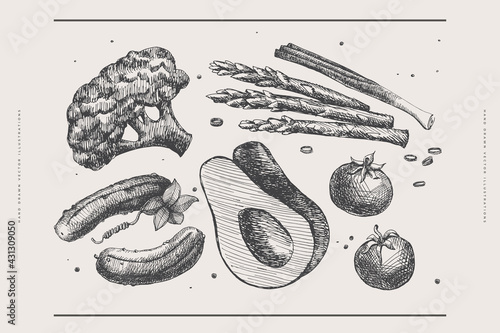 Hand-drawn set of vegetables on white background. Avocado, asparagus, tomatoes, cucumbers, broccoli. Design element for packaging, labels and posters in organic style for farmers market, restaurant.