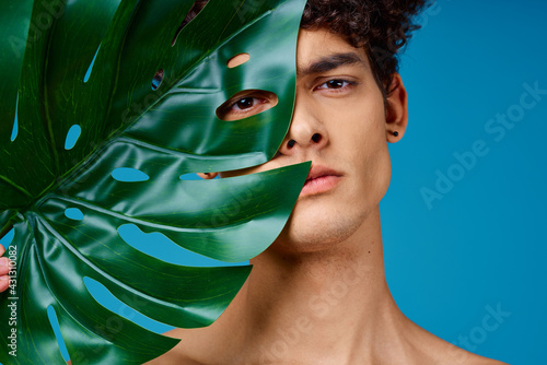 handsome man naked shoulders green leaf clear skin blue background