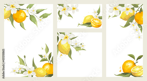 Summer card with jasmine flowers and citrus branch. Floral design elements for wedding invitation, vector illustration, label.
