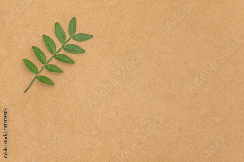 Brown craft paper background with green branch. Eco friendly brown paper.