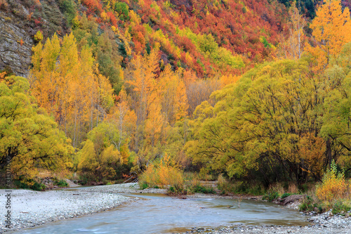 Autumn colors on the Arrow River in the South Island of New Zealand