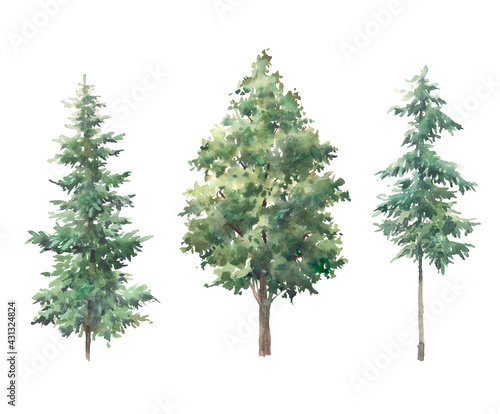 Watercolor green tree set. Hand painted forest trees isolated on white background