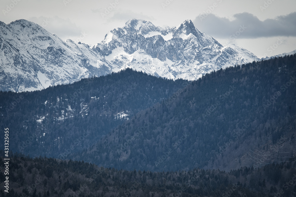 Obraz premium snow covered mountains in winter with trees 