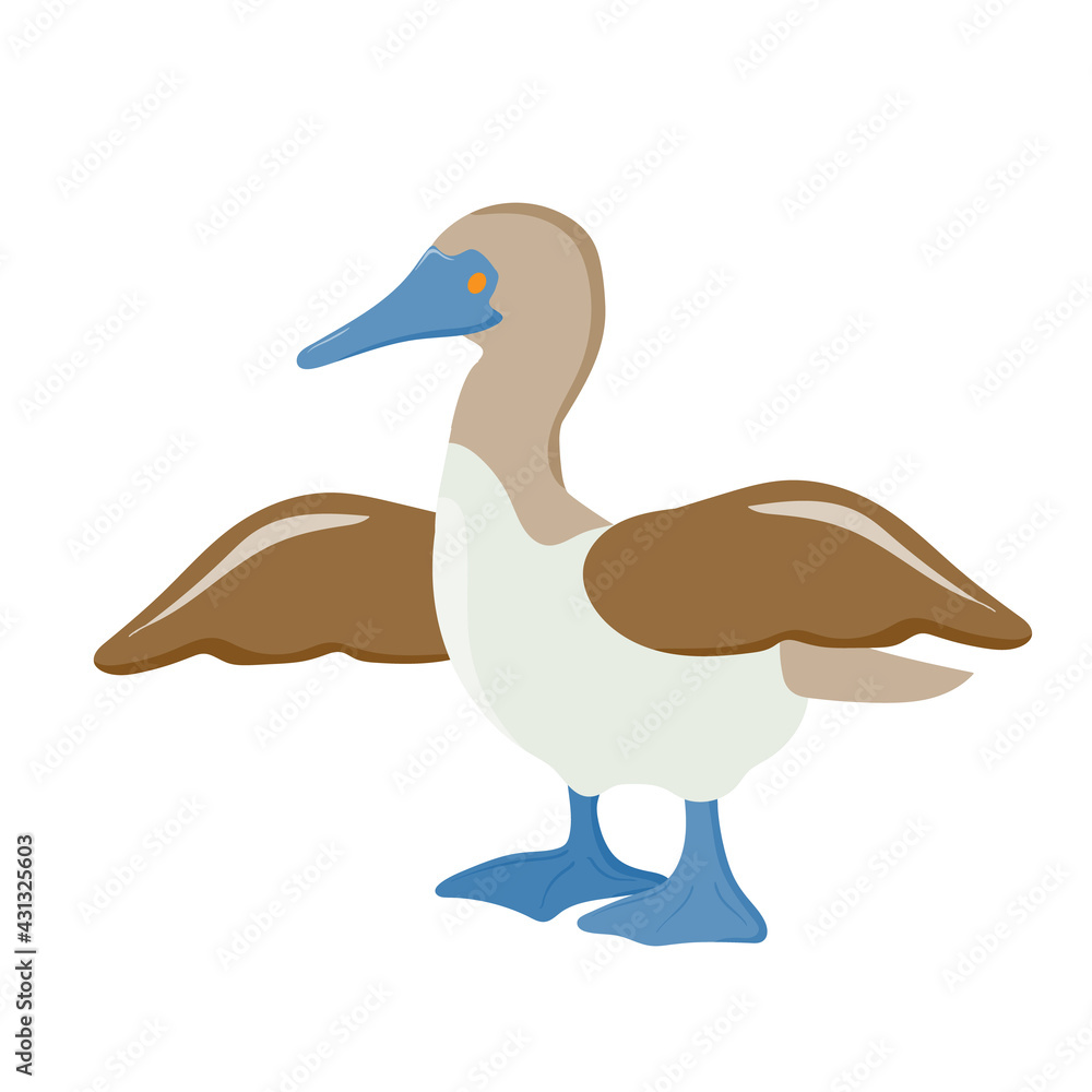 sea bird. gannet. bird with blue paws. Vector illustration isolated on white background. sea bird. gannet. bird with blue paws. Vector illustration isolated on white background.