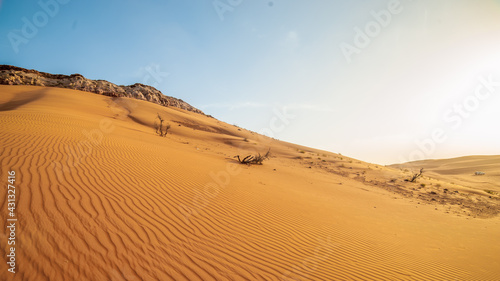 Fototapeta Naklejka Na Ścianę i Meble -  Dubai desert
