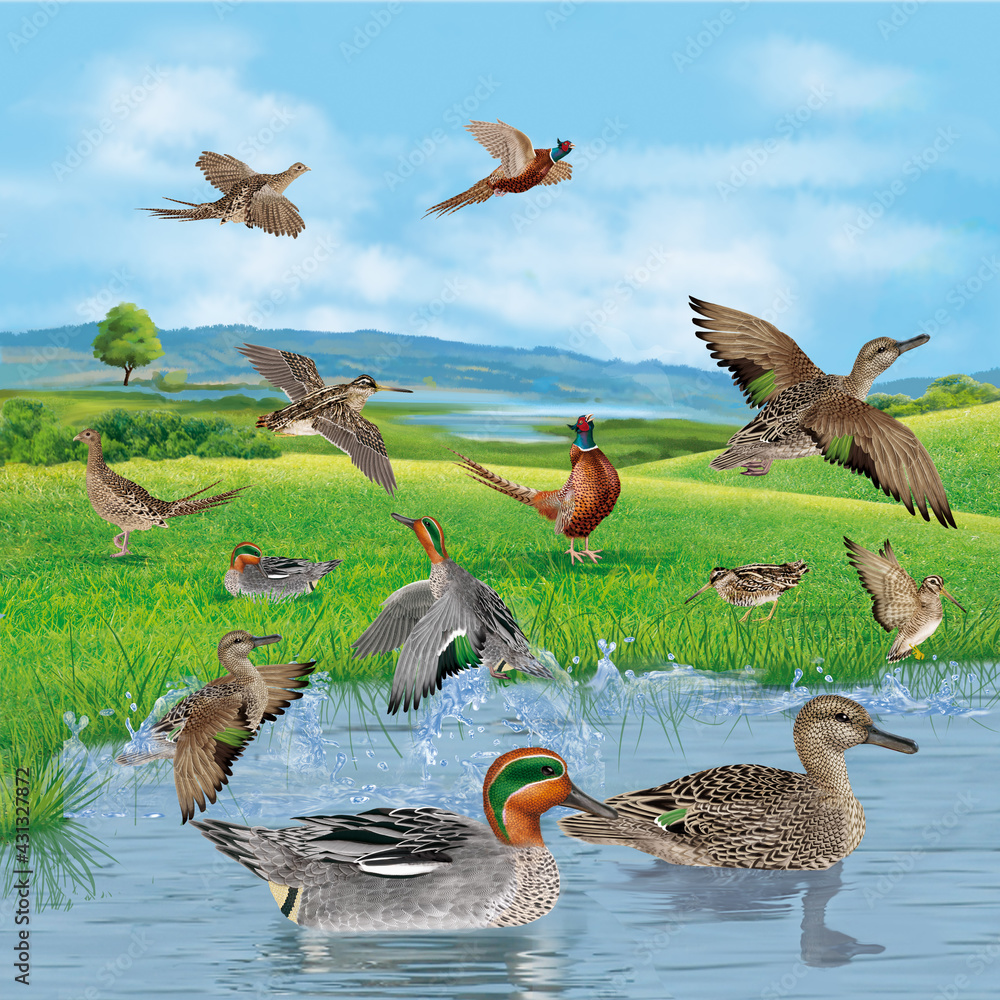 Gibiers De Notre Pays Gibiers D eau Douce: Books