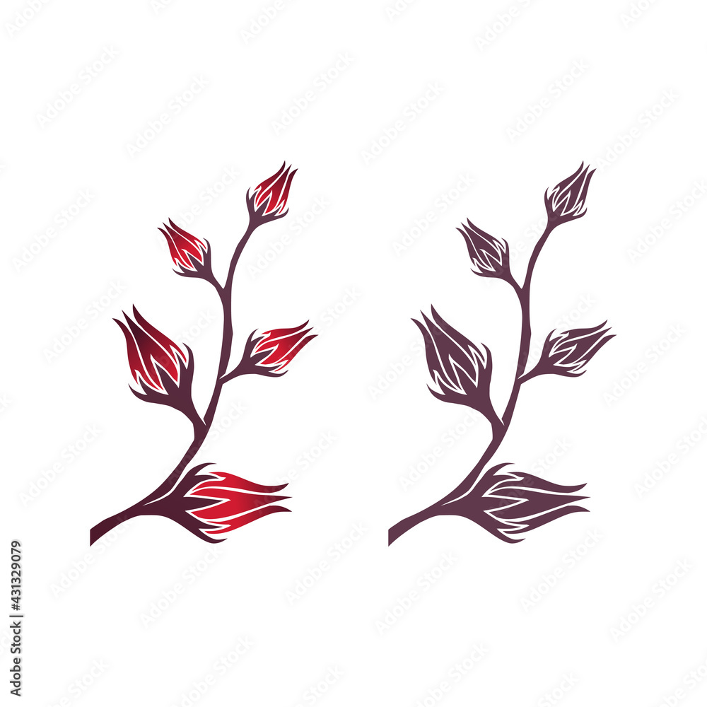 Fototapeta premium Sorrel Logo Illustration collection set bundle - Herb Leaf Plant Natural Organic Healthy Flower Red Fruit Rozella Sweet Tea