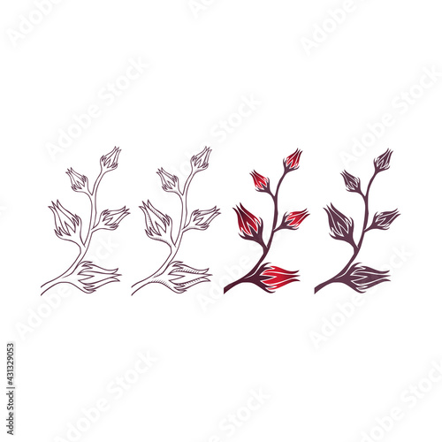 Sorrel Logo Illustration collection set bundle - Herb Leaf Plant Natural Organic Healthy Flower Red Fruit Rozella Sweet Tea