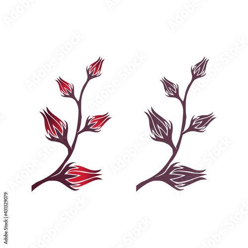 Sorrel Logo Illustration collection set bundle - Herb Leaf Plant Natural Organic Healthy Flower Red Fruit Rozella Sweet Tea