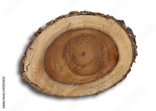 Stump wooden texture surface of the face, where the insect, pierces, causes death. isolated on white background. This has clipping path. 