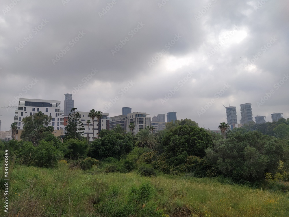 Fototapeta premium downtown city