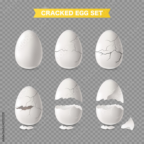 White Egg Transparent Set