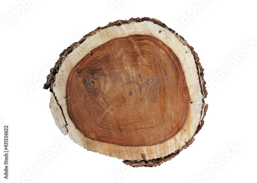 Stump wooden texture surface of the face, where the insect, pierces, causes death. isolated on white background. This has clipping path. 