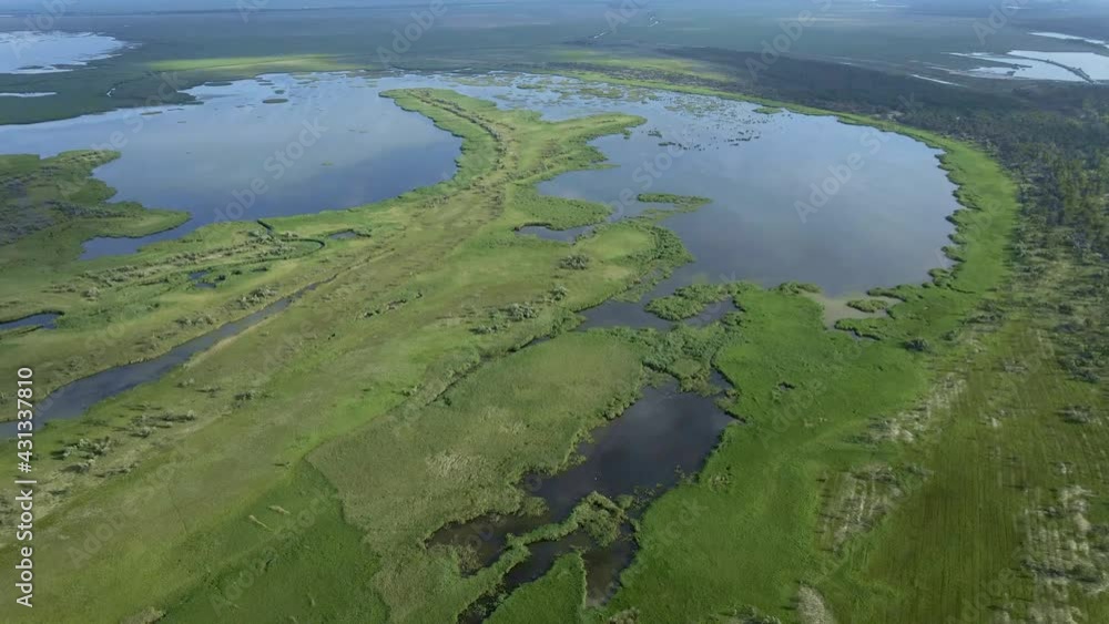 Aerial view, moving forward above the branches river is a (Danube river) flows among the endless thickets of reed. 4K-60fps. Danube Biosphere Reserve in Danube delta Aerial view, moving forward above the branches river is a (Danube river) flows among the endless thickets of reed. 4K-60fps. Danube Biosphere Reserve in Danube delta