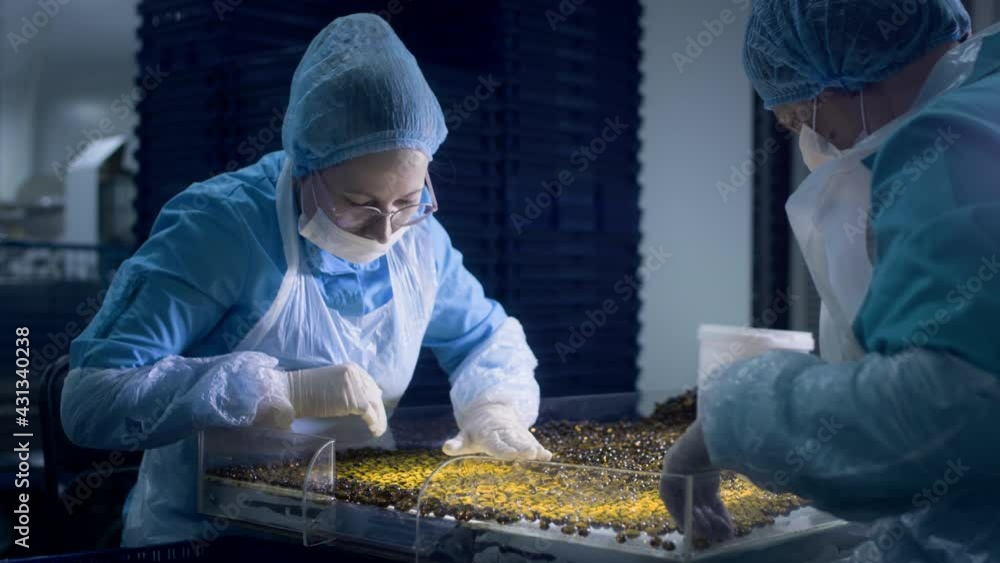 Production of Liquid gel capsules Omega3 fatty acids. Workers check