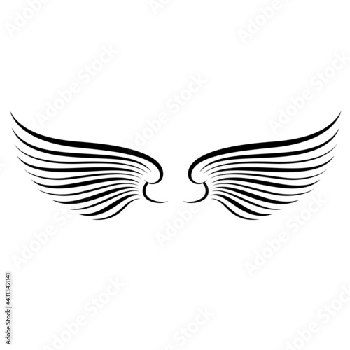 beautiful bright color illustration of black and white wings on the background