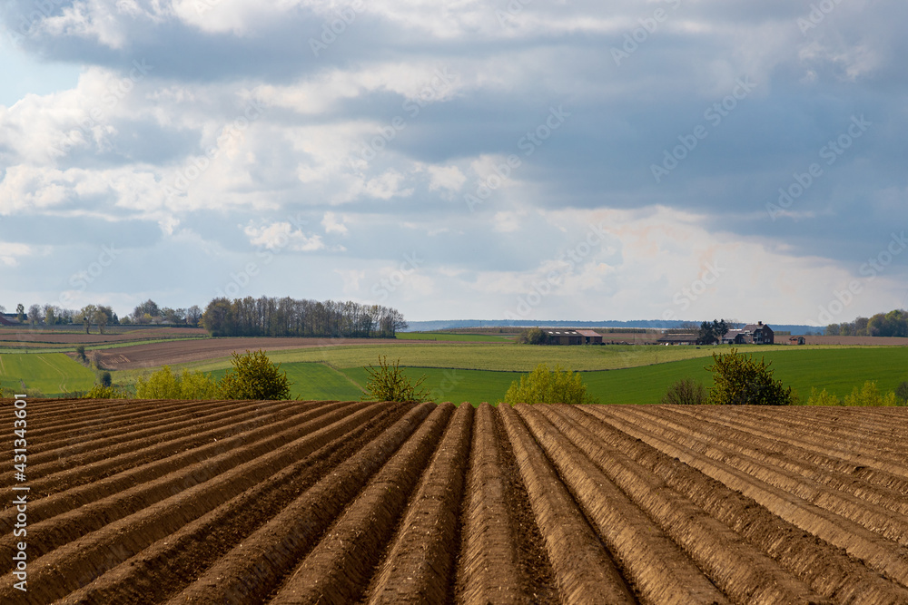 Cultivated farmland in the South Limburg country side in the Netherlands with the fields plowed, which brings interesting lines into the landscape