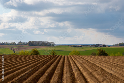 Cultivated farmland in the South Limburg country side in the Netherlands with the fields plowed  which brings interesting lines into the landscape