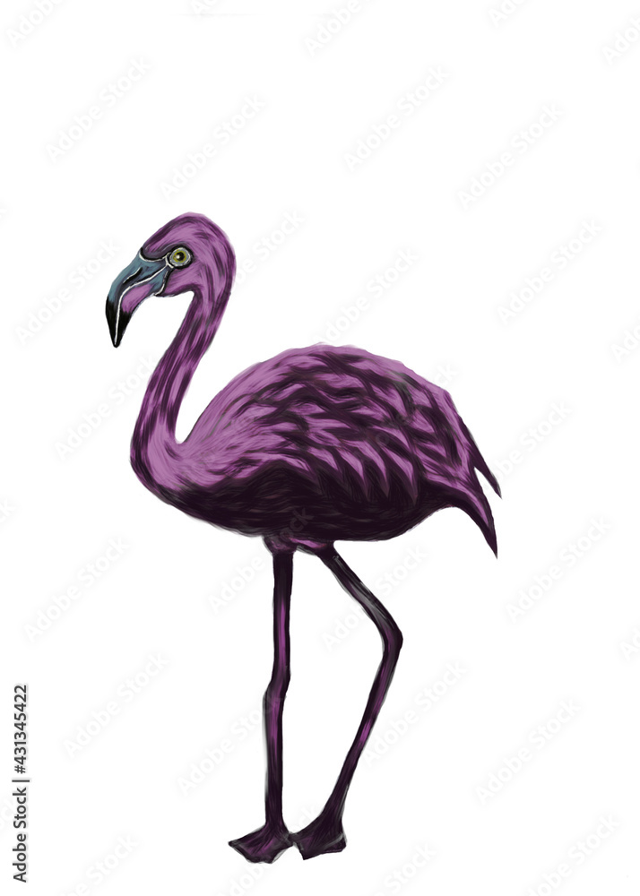 Fototapeta premium Beautiful graceful pink flamingo