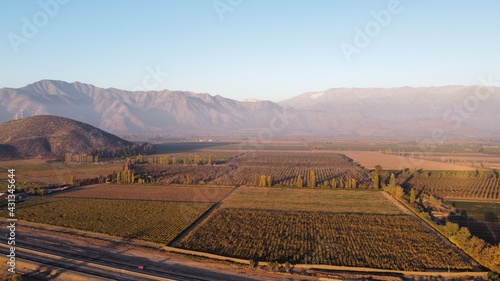 vineyards in autumn © Felipe