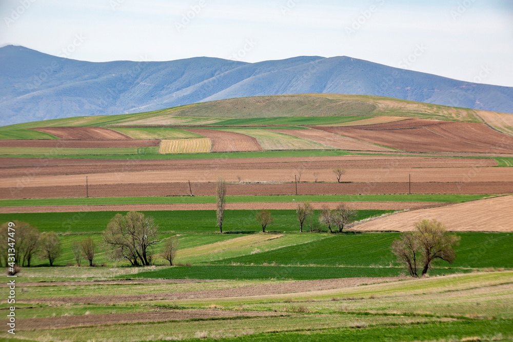 the fertile lands of Anatolia that awaken to spring