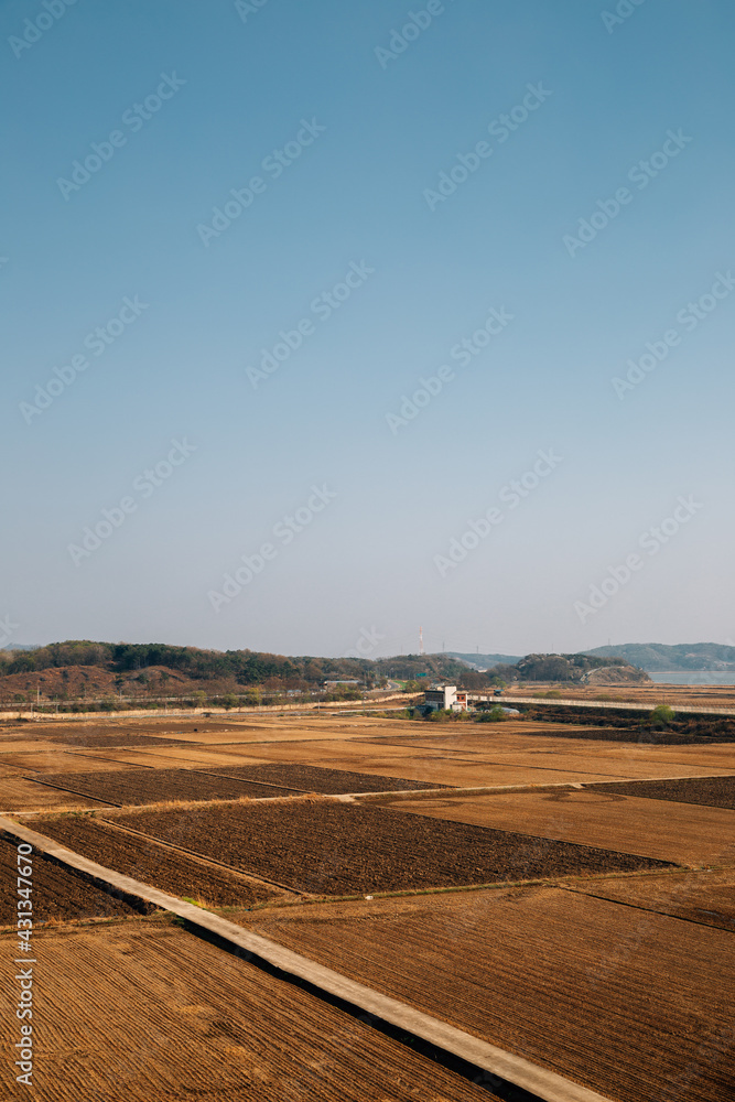 Rural paddy field from Imjingak Pyeonghoa-Nuri park in Paju, Korea