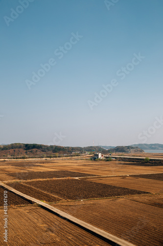 Rural paddy field from Imjingak Pyeonghoa-Nuri park in Paju, Korea