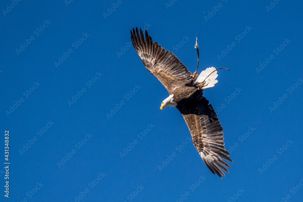 Obraz premium Ecuador