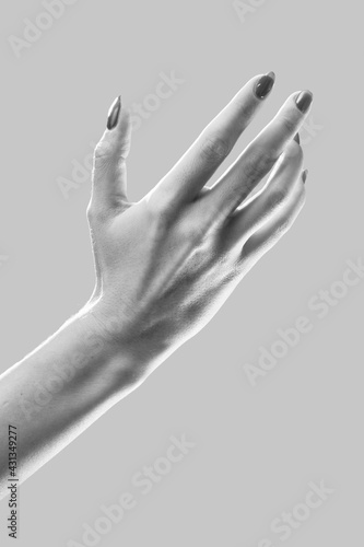 luxury female hand