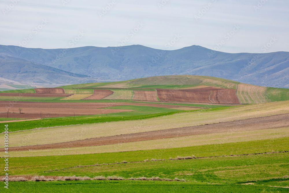 the fertile lands of Anatolia that awaken to spring