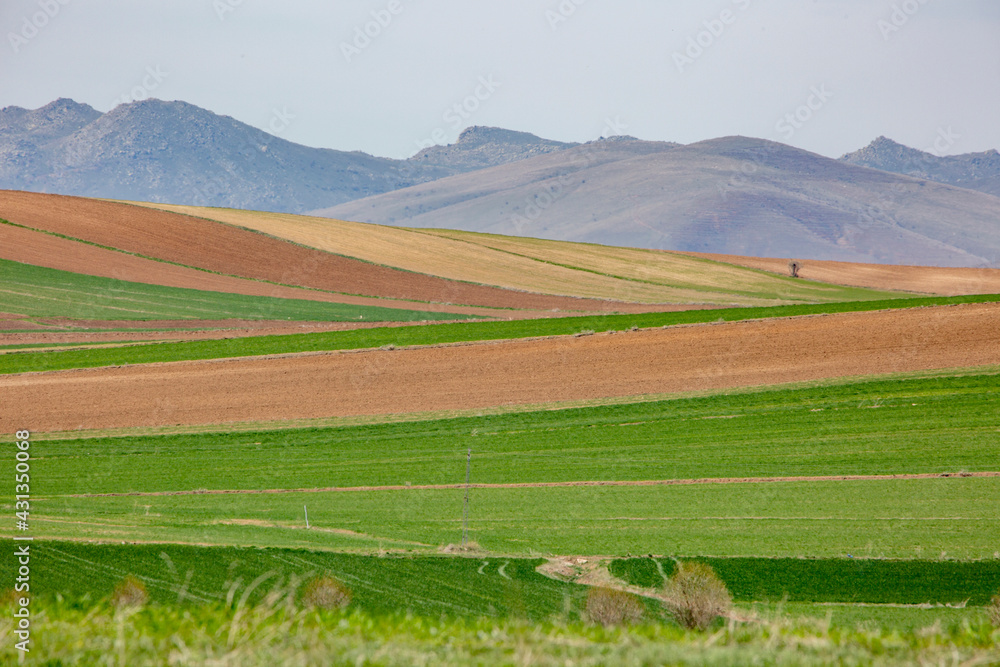 the fertile lands of Anatolia that awaken to spring the fertile lands of Anatolia that awaken to spring