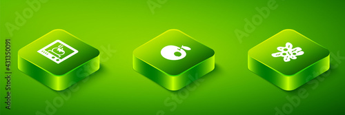 Set Isometric Genetically modified apple, Cell and 3D printing technology icon. Vector