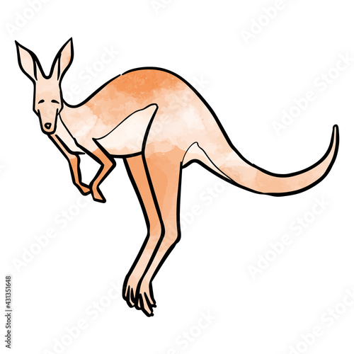 Hand drawn jumping kangaroo watercolor vector illustration