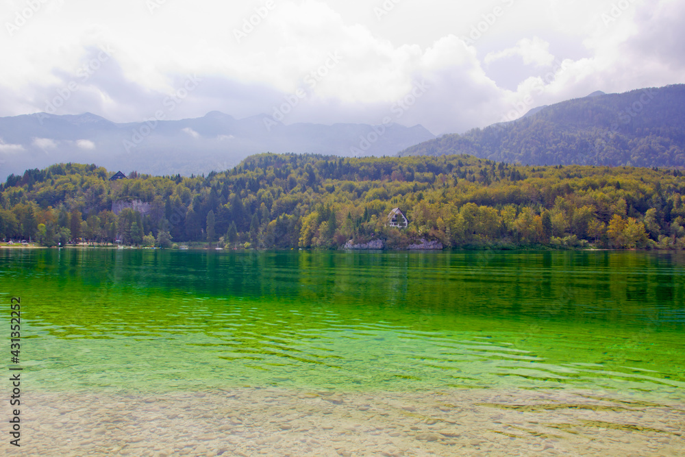 landscape with trees in lake bohinj, Slovenia