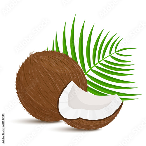 Whole coconut with piece and palm leaves on white background. Vector illustration. Flat design