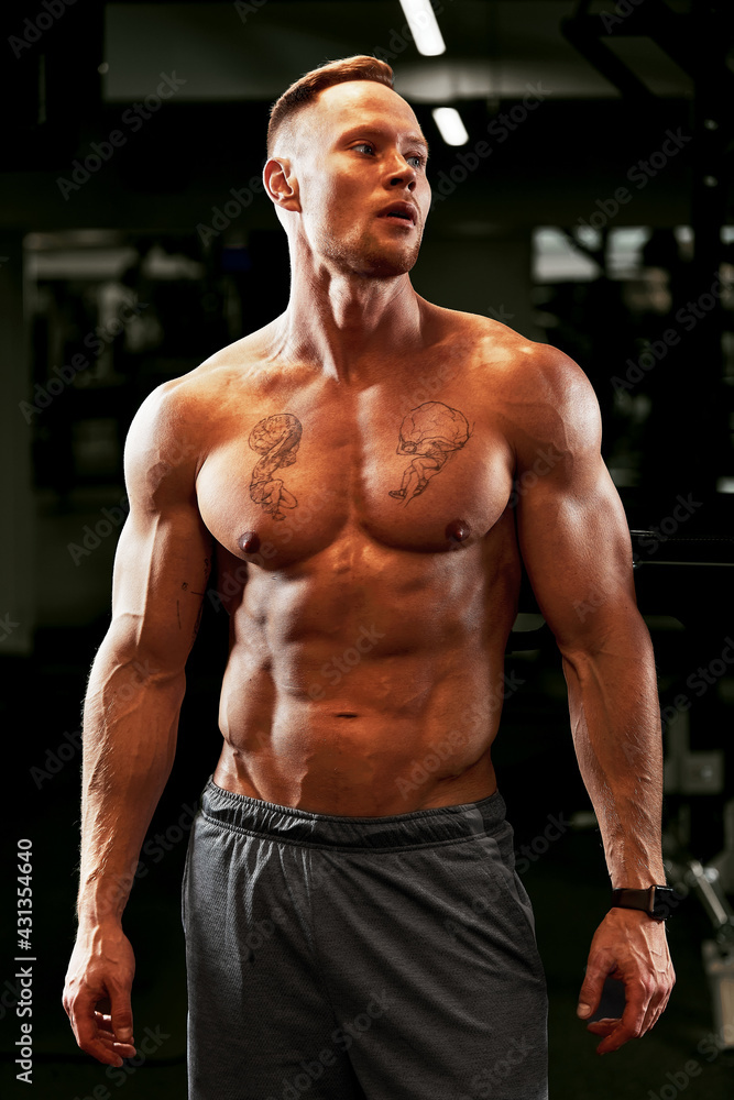 Closeup portrait of a muscular man workout with barbell at gym. Brutal bodybuilder athletic man with six pack, perfect abs, shoulders, biceps, triceps and chest Closeup portrait of a muscular man workout with barbell at gym. Brutal bodybuilder athletic man with six pack, perfect abs, shoulders, biceps, triceps and chest
