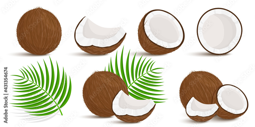 Fototapeta premium Set of exotic whole, half, cut pieces of coconut fruit and palm leaves isolated on white background. Summer fruits for a healthy lifestyle. Organic fruits. Cartoon style. Vector illustration