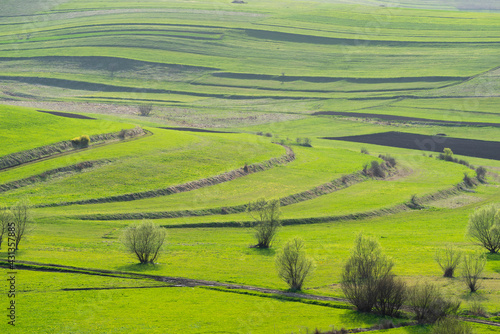 Terraced vibrant green agricultural fields at springtime in Transylvania, Romania.