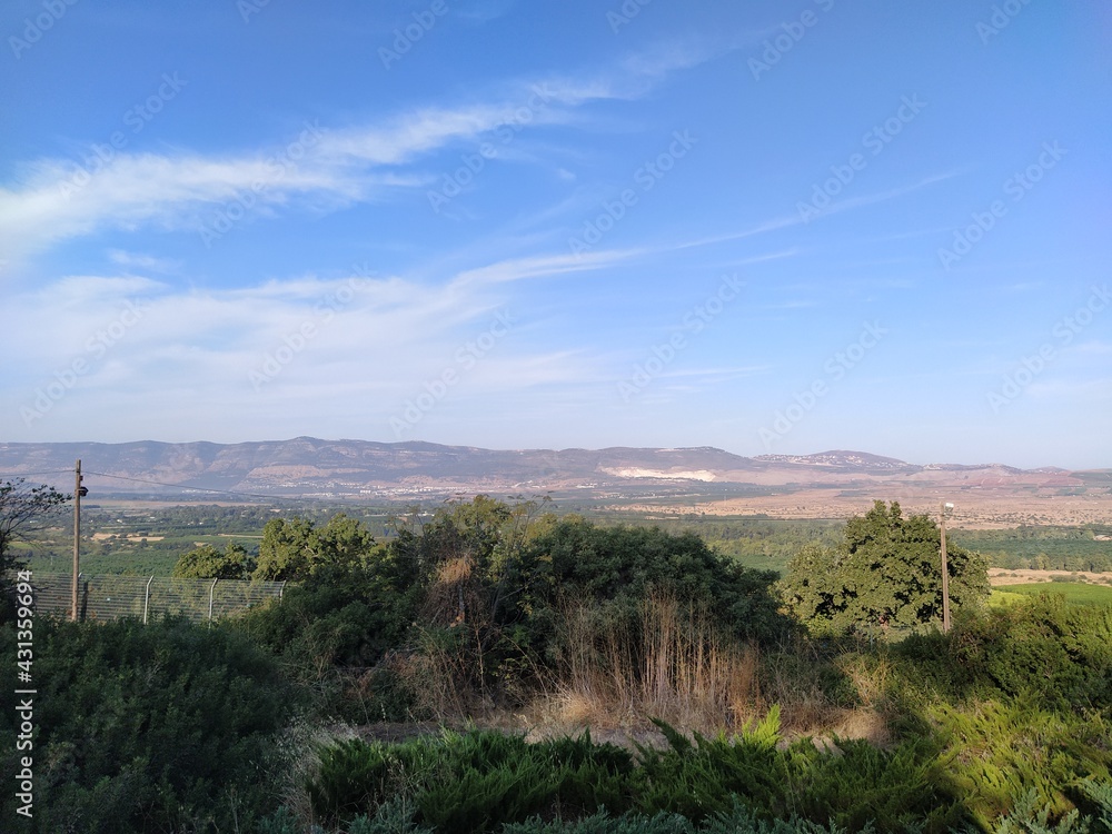 Naklejka premium view to a meadow