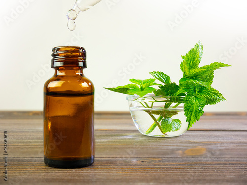 Urtica dioica, stinging nettle extract with bottle and dropper. Nettle essence oil. Medicinal plant, herbal essence.