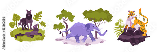 Big Tropical Animals Compositions