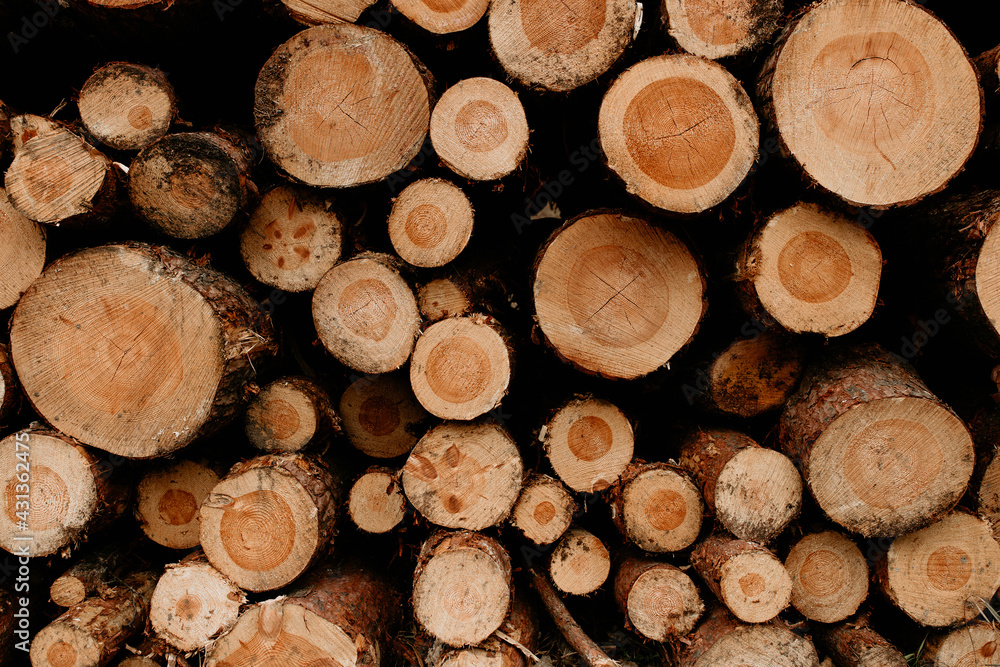 Pile of firewood logs. Cut pinewood logs stacked. Variable size wood. Preparing for cold winter. Cheap renewable energy source. Pile of firewood logs. Cut pinewood logs stacked. Variable size wood. Preparing for cold winter. Cheap renewable energy source.