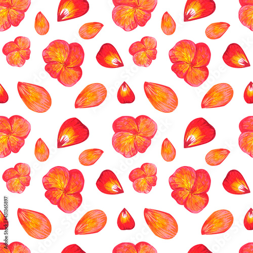 Watercolor seamless pattern with hand drawn red and orange pansy flowers and petals on white background.Pansies bloom.Textile design clothes pattern bed linen interior idea bright spring wallpaper