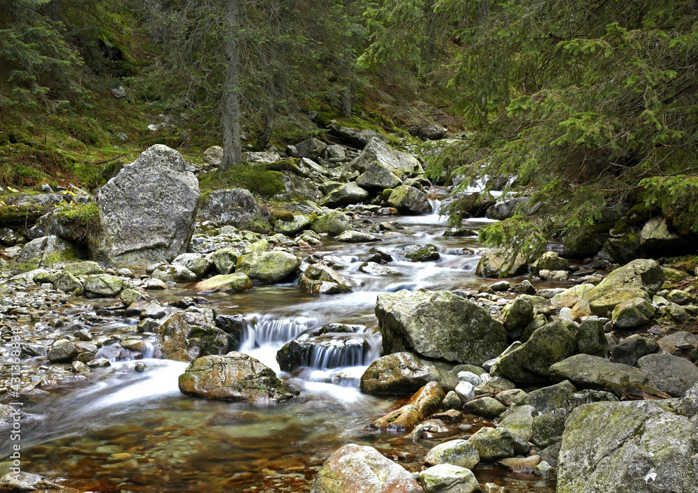 Roztoka river at Tatras near Zakopane. Poland Roztoka river at Tatras near Zakopane. Poland