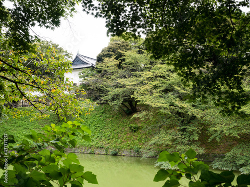 View of Ushigafuchi moat with white tower of former Edo castle at the background - Tokyo, Japan photo