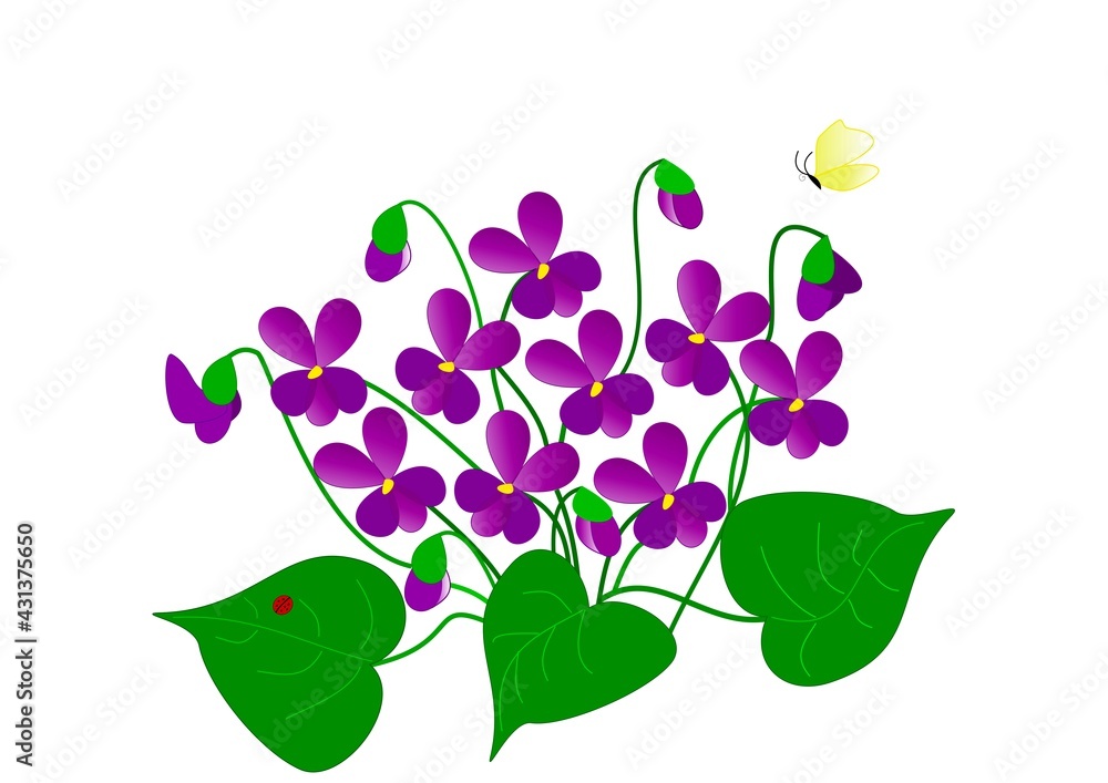 Disegno di una pianta di violette con fiori e farfalla Disegno di una pianta di violette con fiori e farfalla