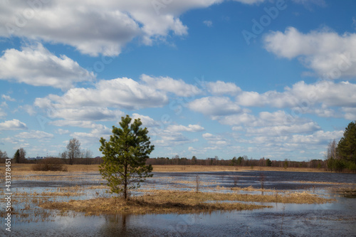 Spring flood on the lake. Beautiful sky with clouds over the lake.