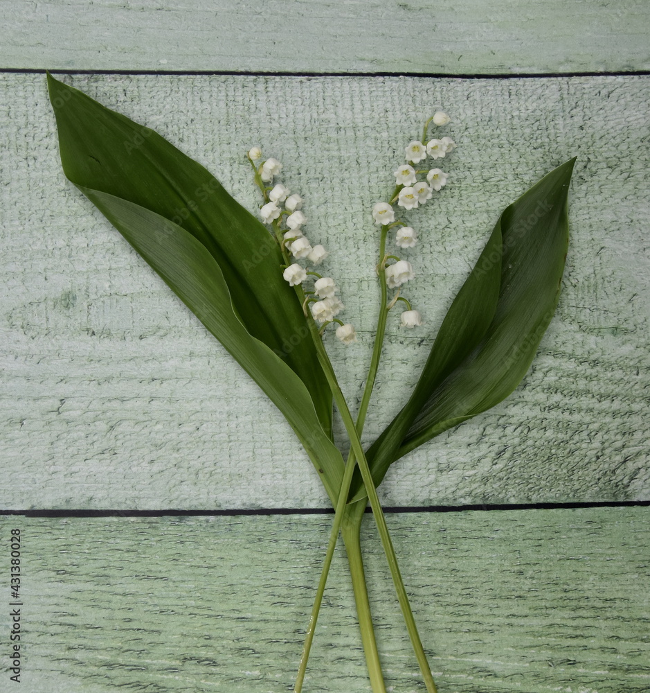 Obraz premium brin de muguet