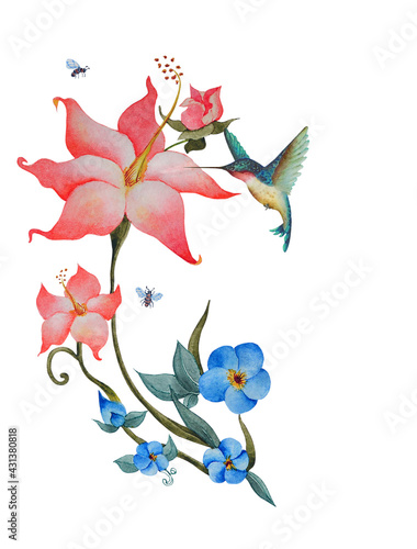 On a watercolor illustration  a beautiful composition of pink and blue flowers with a hummingbird and bees. Illustration executed in traditional   hinese style  isolated on white background.